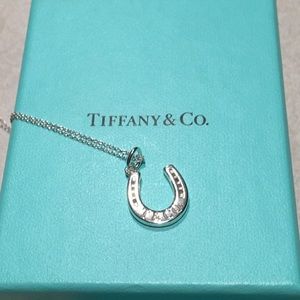 Tiffany & Co. Horseshoe Charm Necklace